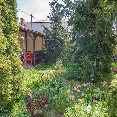 Old House Apartment Vama Veche Exterior photo