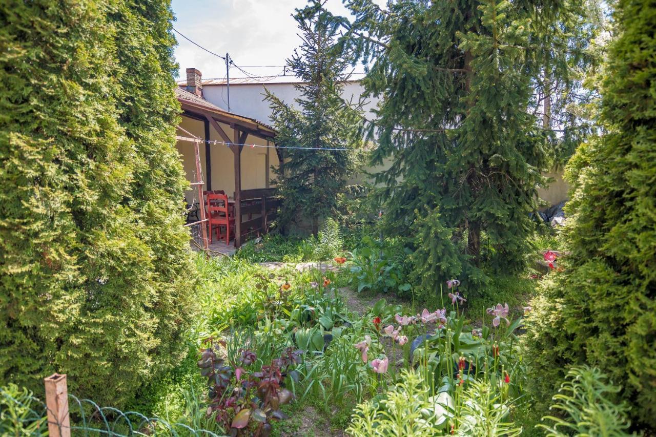 Old House Apartment Vama Veche Exterior photo